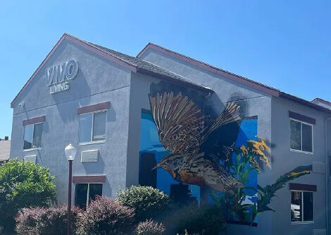 Flats at Miracle Hills